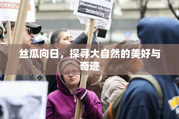 丝瓜向日，探寻大自然的美好与奇迹