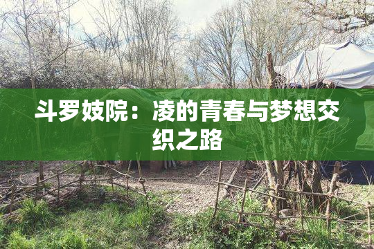 斗罗妓院：凌的青春与梦想交织之路