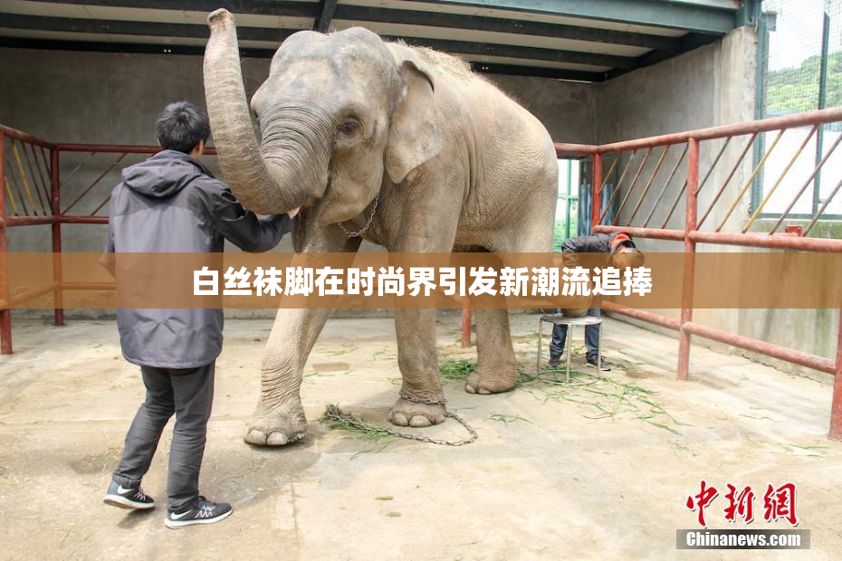 白丝袜脚在时尚界引发新潮流追捧