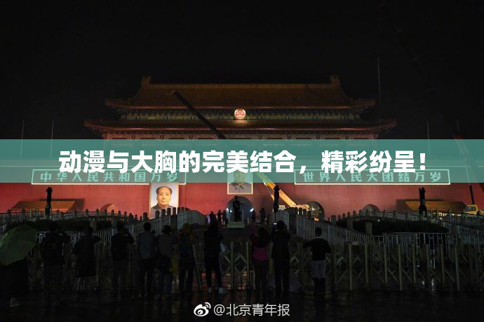 动漫与大胸的完美结合，精彩纷呈！