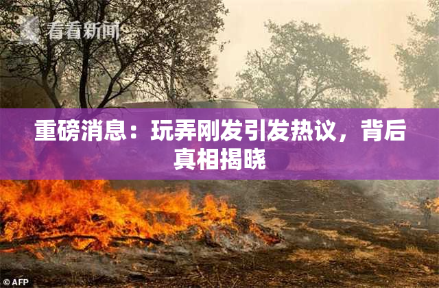 重磅消息：玩弄刚发引发热议，背后真相揭晓
