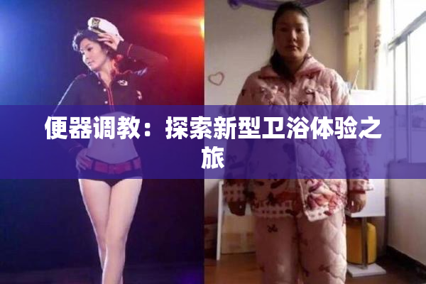 便器调教：探索新型卫浴体验之旅