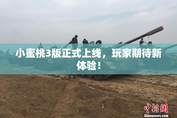 小蜜桃3版正式上线，玩家期待新体验！