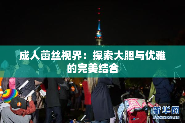 成人蕾丝视界：探索大胆与优雅的完美结合