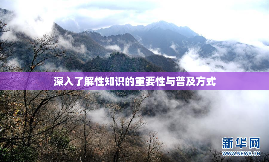 深入了解性知识的重要性与普及方式