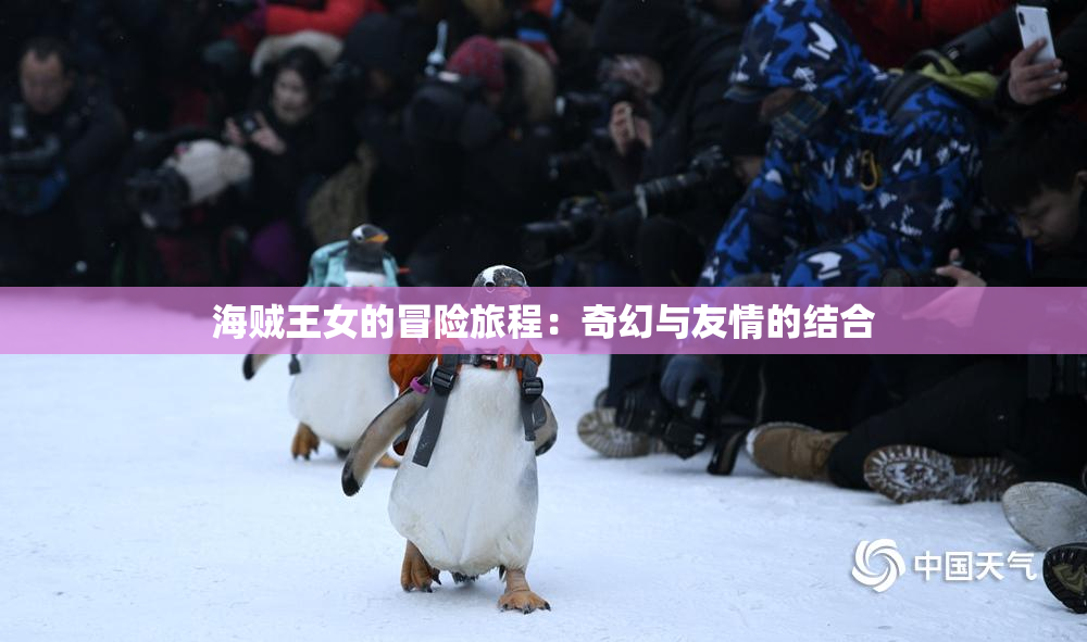 海贼王女的冒险旅程：奇幻与友情的结合