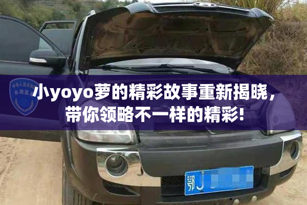 小yoyo萝的精彩故事重新揭晓，带你领略不一样的精彩!