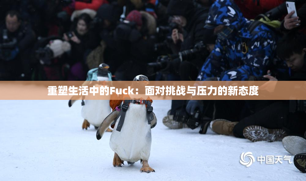 重塑生活中的Fuck：面对挑战与压力的新态度