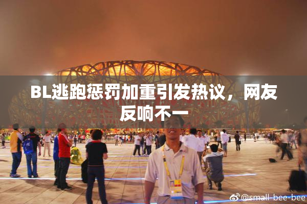 BL逃跑惩罚加重引发热议，网友反响不一