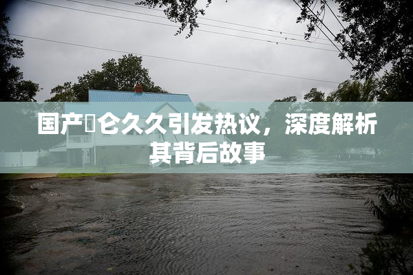 国产婬仑久久引发热议，深度解析其背后故事