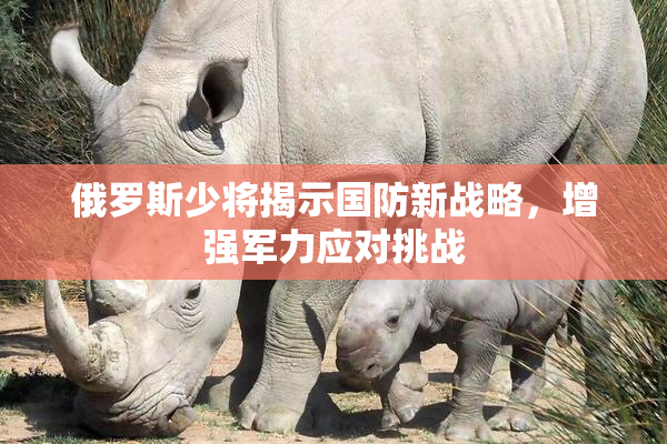 俄罗斯少将揭示国防新战略，增强军力应对挑战