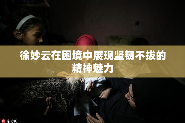 徐妙云在困境中展现坚韧不拔的精神魅力