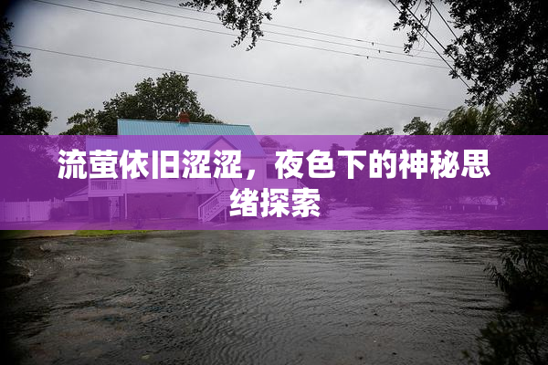 流萤依旧涩涩，夜色下的神秘思绪探索