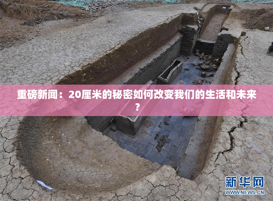 重磅新闻：20厘米的秘密如何改变我们的生活和未来？