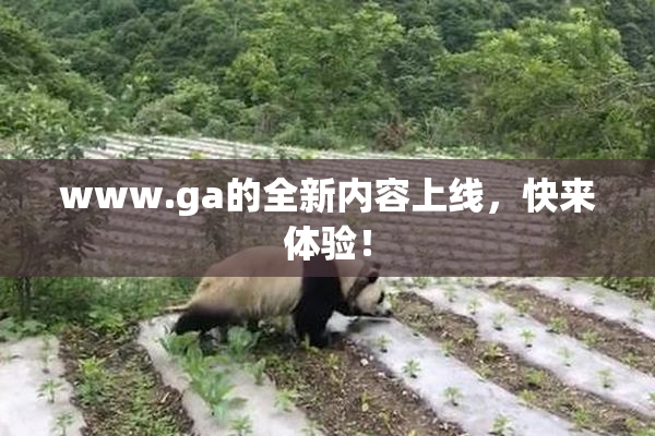 www.ga的全新内容上线，快来体验！