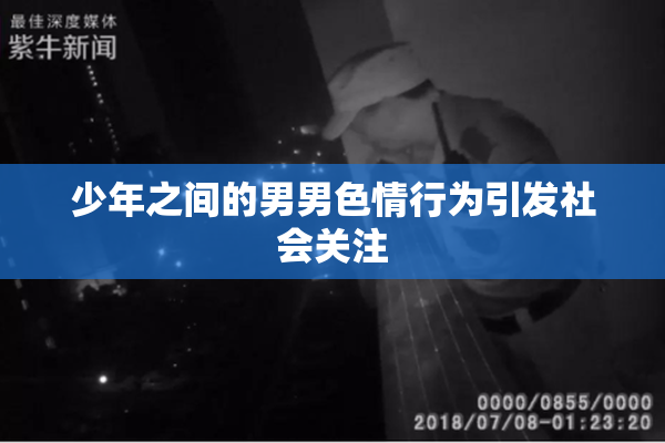 少年之间的男男色情行为引发社会关注