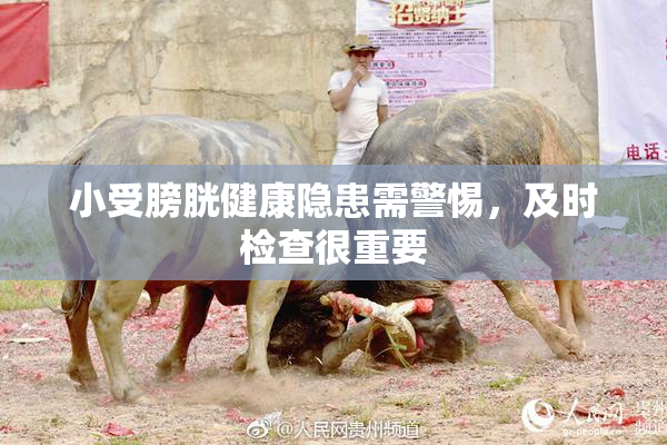 小受膀胱健康隐患需警惕，及时检查很重要