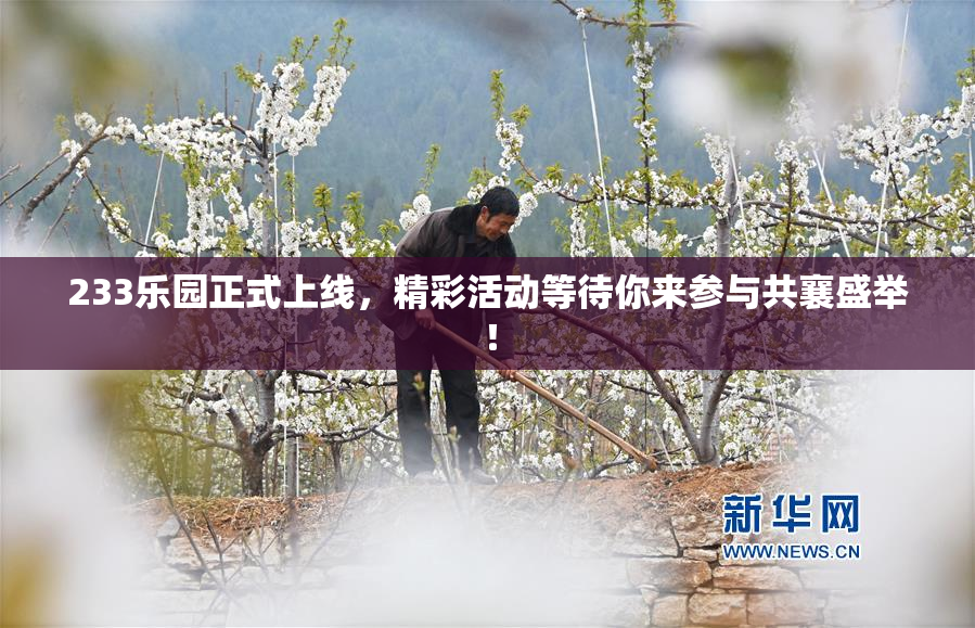 233乐园正式上线，精彩活动等待你来参与共襄盛举！