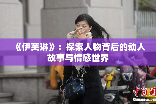 《伊芙琳》：探索人物背后的动人故事与情感世界