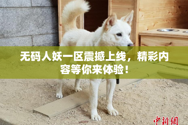 无码人妖一区震撼上线，精彩内容等你来体验！