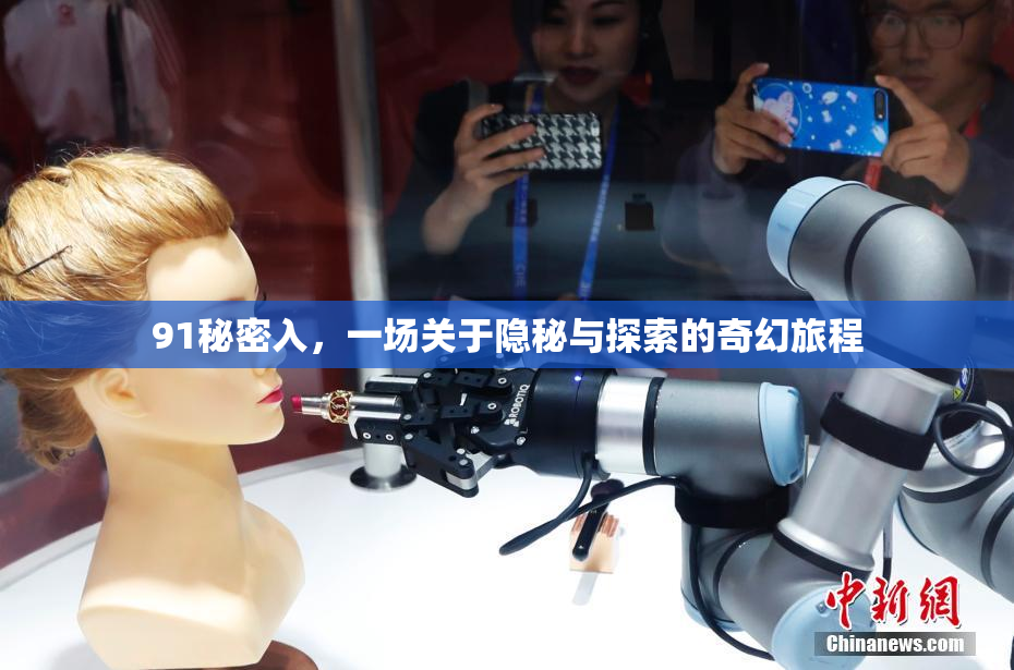 91秘密入，一场关于隐秘与探索的奇幻旅程