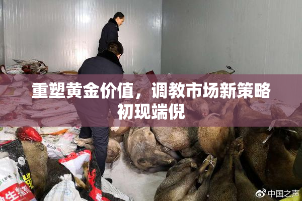 重塑黄金价值，调教市场新策略初现端倪