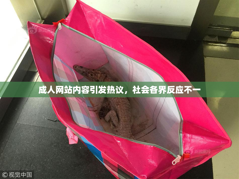 成人网站内容引发热议，社会各界反应不一