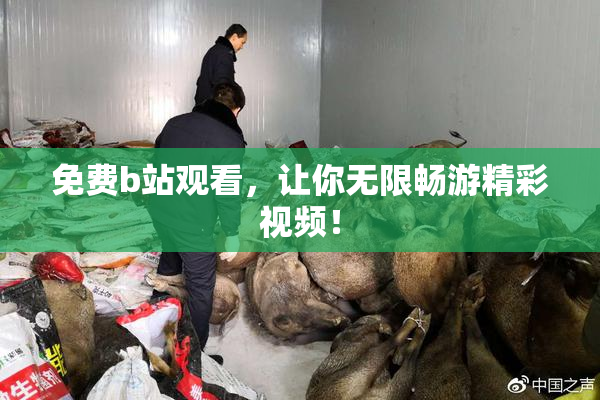 免费b站观看，让你无限畅游精彩视频！