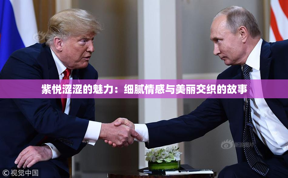 紫悦涩涩的魅力：细腻情感与美丽交织的故事