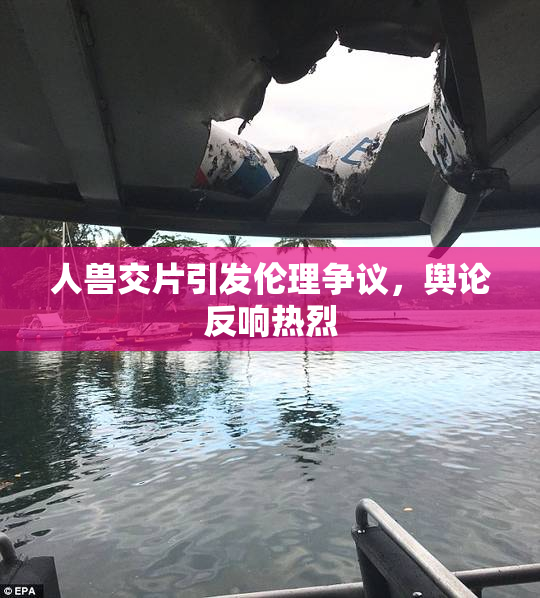 人兽交片引发伦理争议，舆论反响热烈