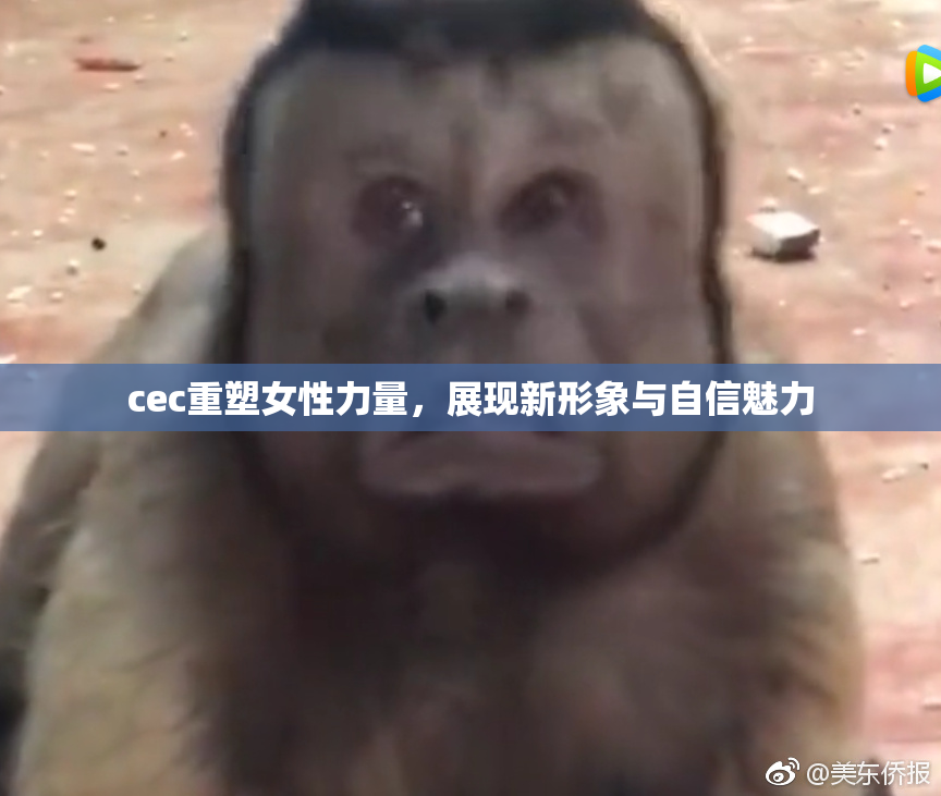 cec重塑女性力量，展现新形象与自信魅力