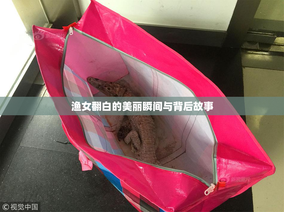 渔女翻白的美丽瞬间与背后故事