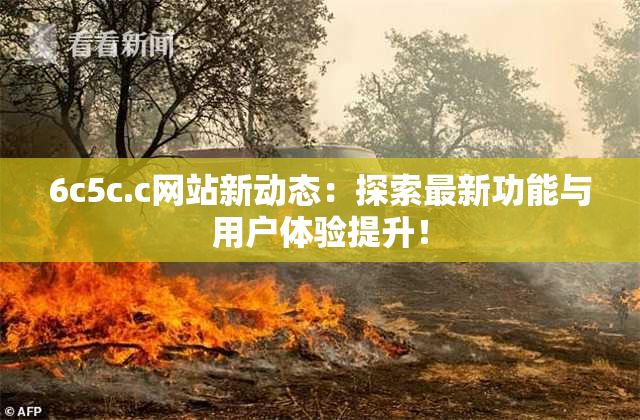6c5c.c网站新动态：探索最新功能与用户体验提升！