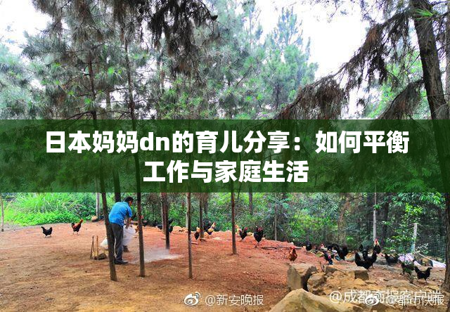 日本妈妈dn的育儿分享：如何平衡工作与家庭生活