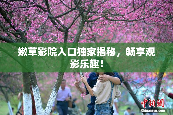 嫩草影院入口独家揭秘，畅享观影乐趣！