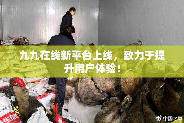 九九在线新平台上线，致力于提升用户体验！