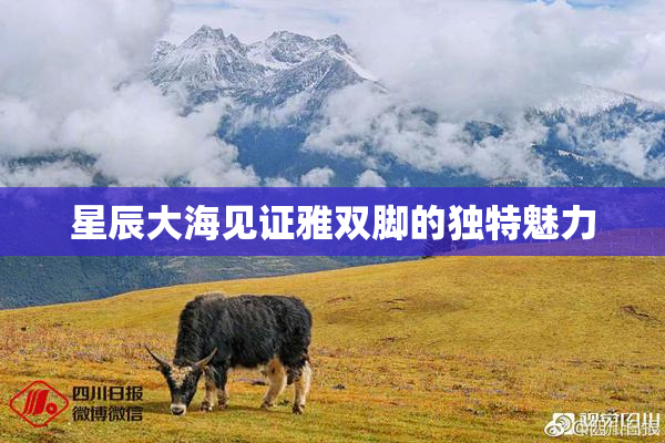 星辰大海见证雅双脚的独特魅力