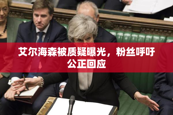 艾尔海森被质疑曝光，粉丝呼吁公正回应