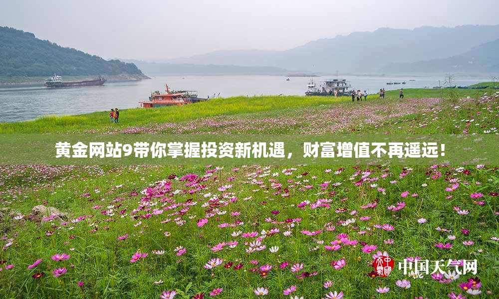 黄金网站9带你掌握投资新机遇，财富增值不再遥远！