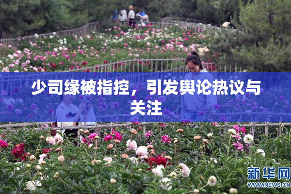 少司缘被指控，引发舆论热议与关注