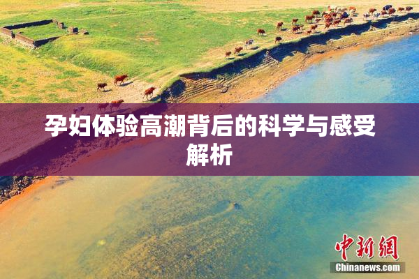 孕妇体验高潮背后的科学与感受解析