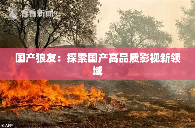 国产狼友：探索国产高品质影视新领域