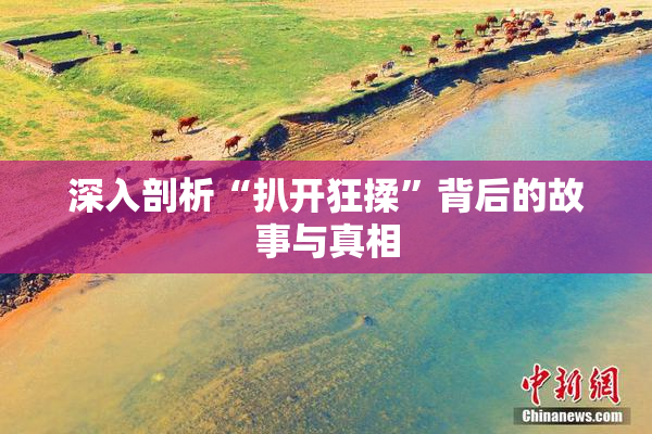 深入剖析“扒开狂揉”背后的故事与真相