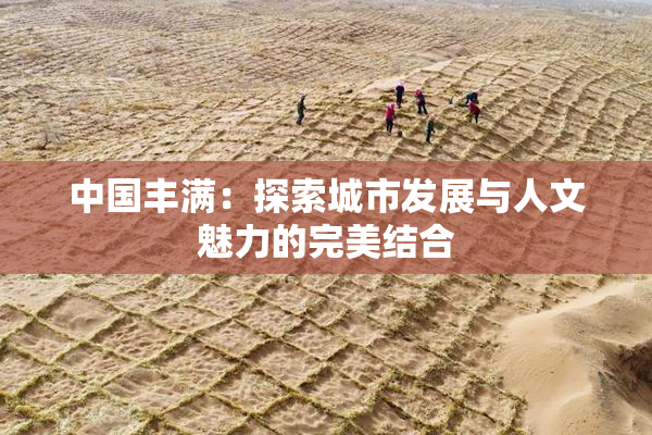 中国丰满：探索城市发展与人文魅力的完美结合