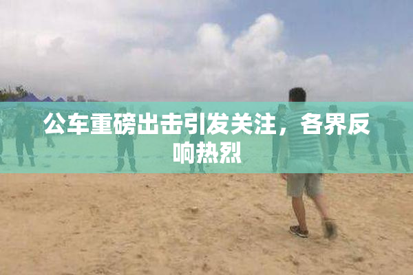 公车重磅出击引发关注，各界反响热烈
