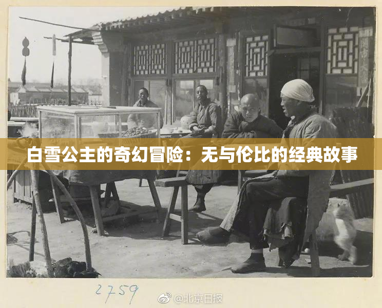 白雪公主的奇幻冒险：无与伦比的经典故事