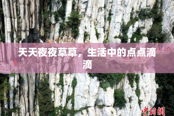 天天夜夜草草，生活中的点点滴滴