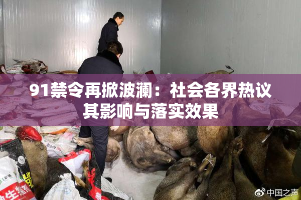 91禁令再掀波澜：社会各界热议其影响与落实效果