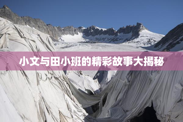 小文与田小班的精彩故事大揭秘