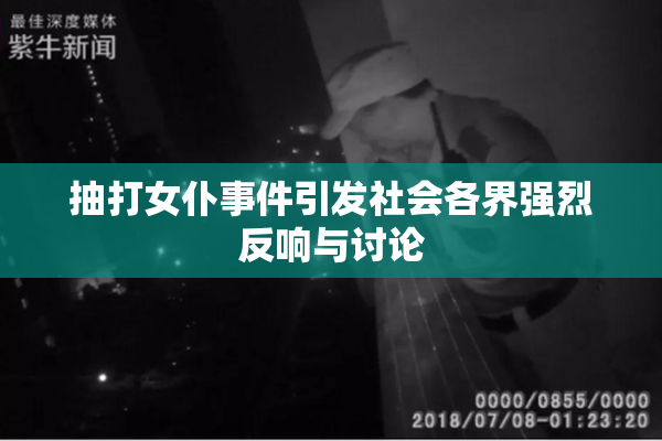 抽打女仆事件引发社会各界强烈反响与讨论